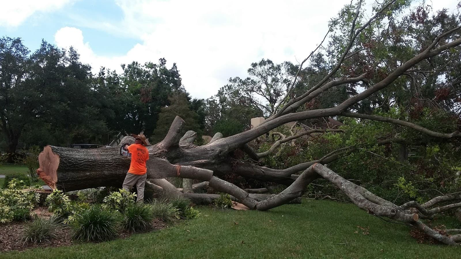 Sharp Cut Tree Service