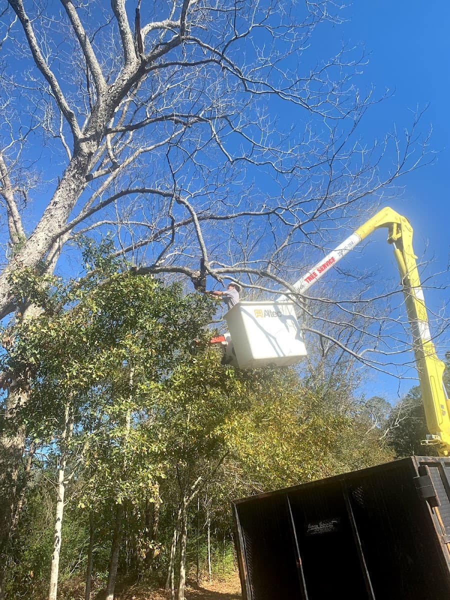 Hug'em and Cut'em Tree Service