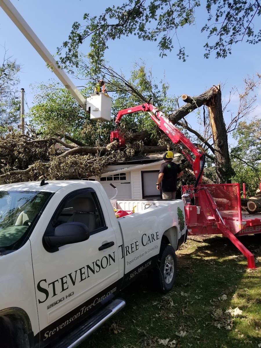 Stevenson Tree & Lawn Care