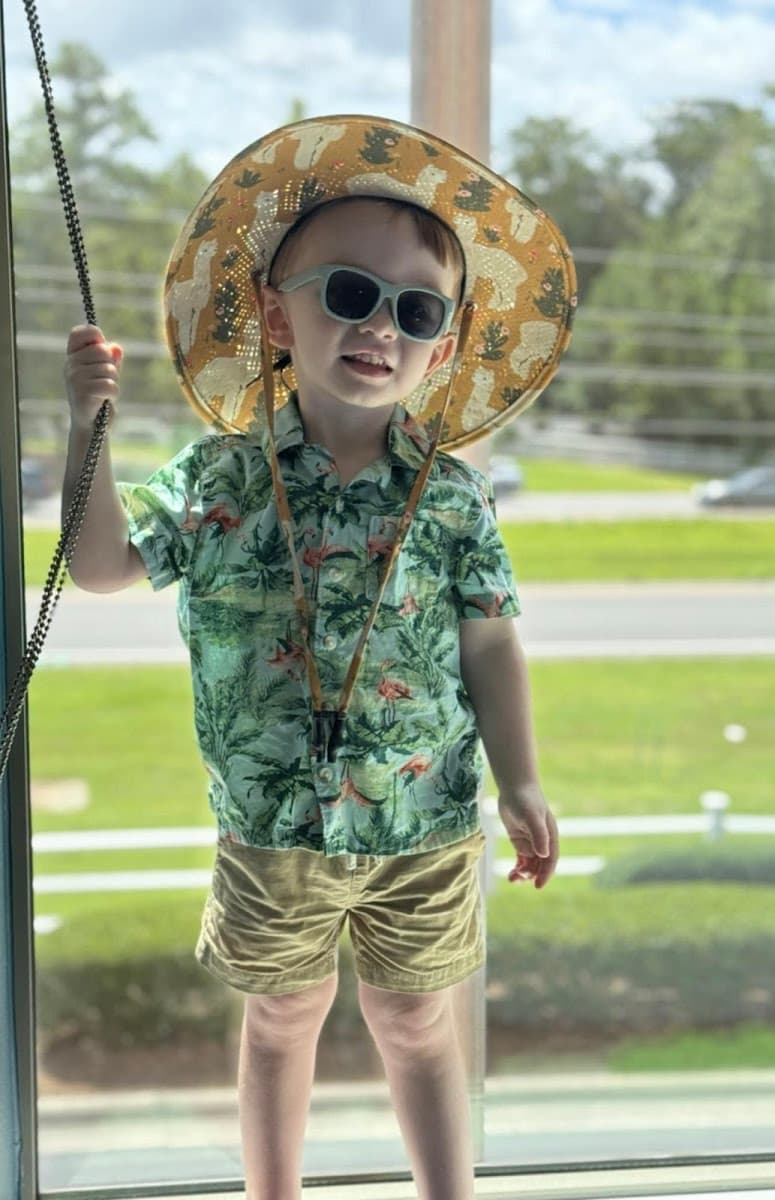 Rodney's Tree Service