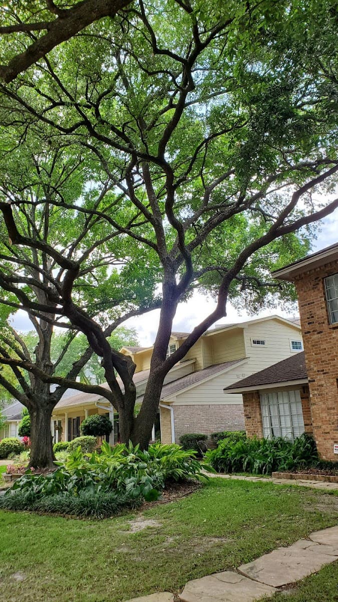 Garden Oaks Tree Service LLC