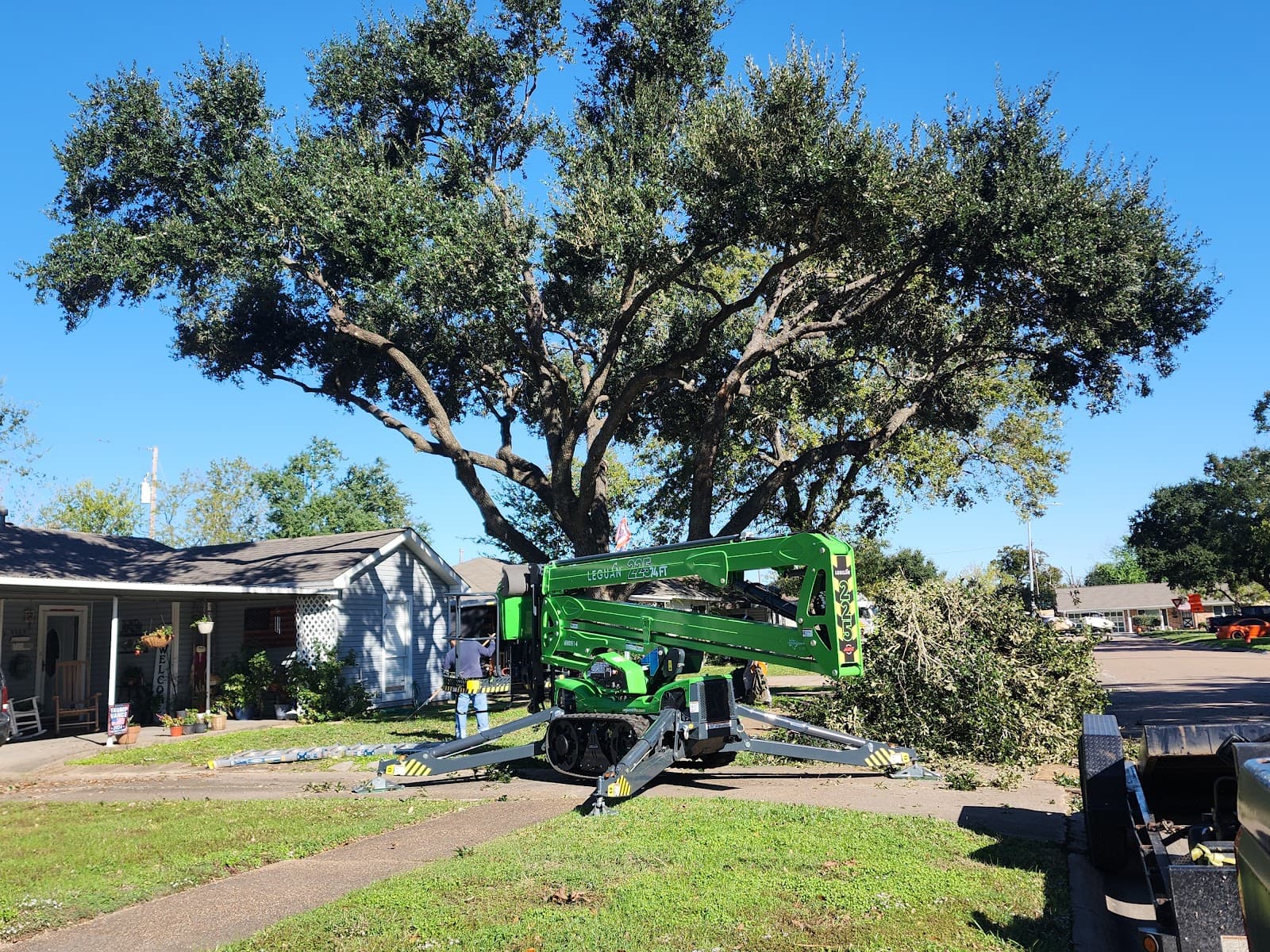 Deer Park Arbor Specialist