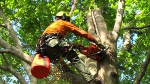 S & S Property Maintenance