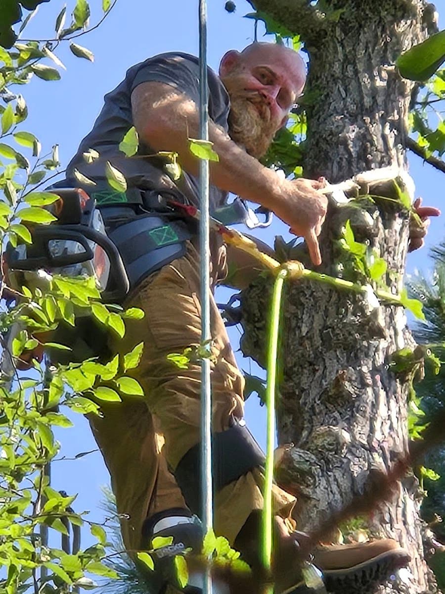 Yelton Unlimited LLC