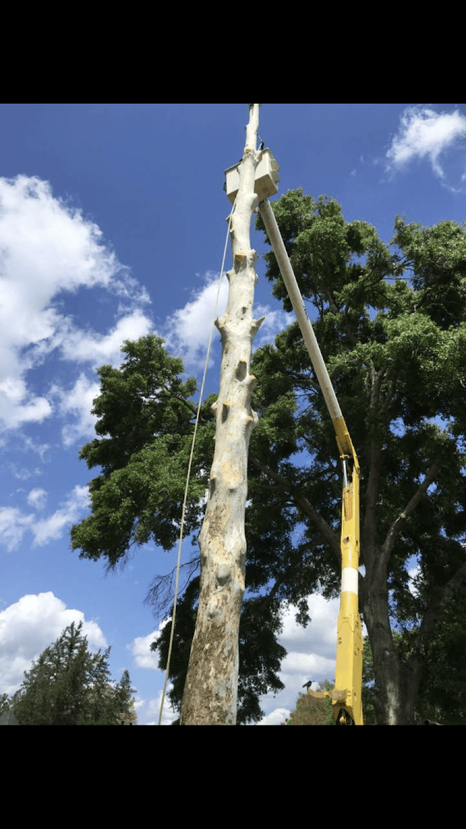 Parker's General Home Repair and Tree Service LLC
