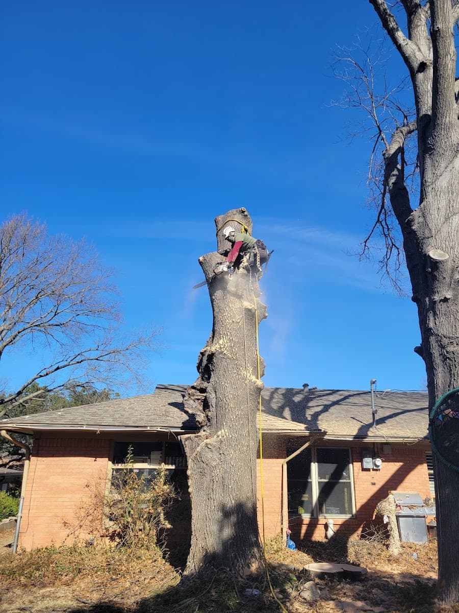 AJ Tree Service