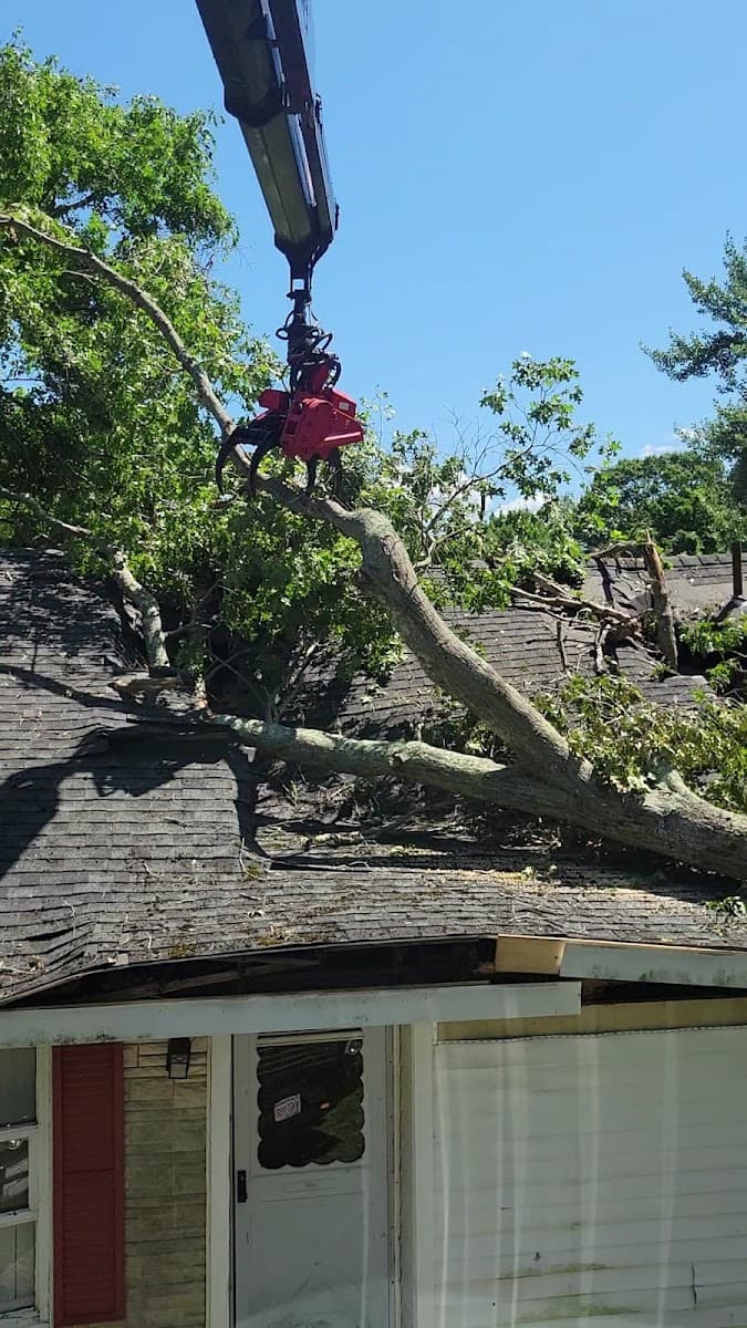 Solutions Tree Services