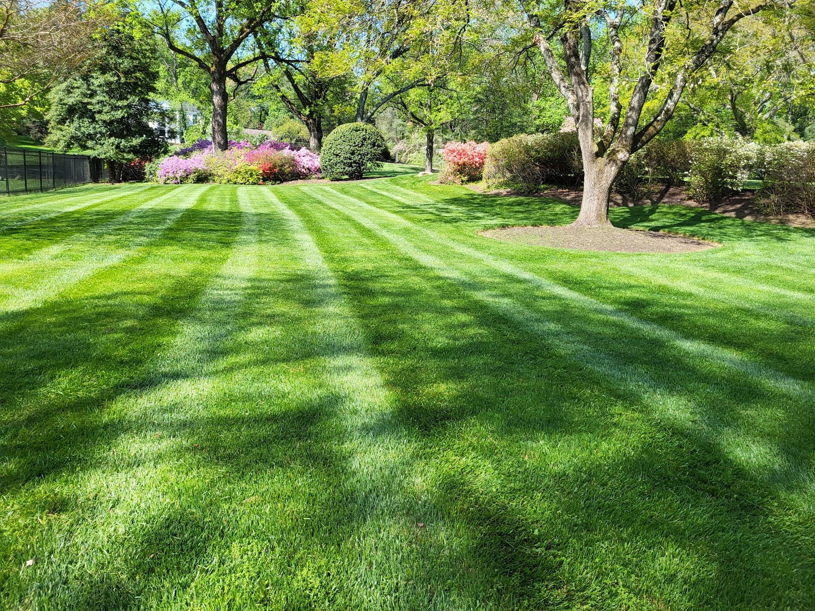 Chavez Landscaping & Tree Services LLC