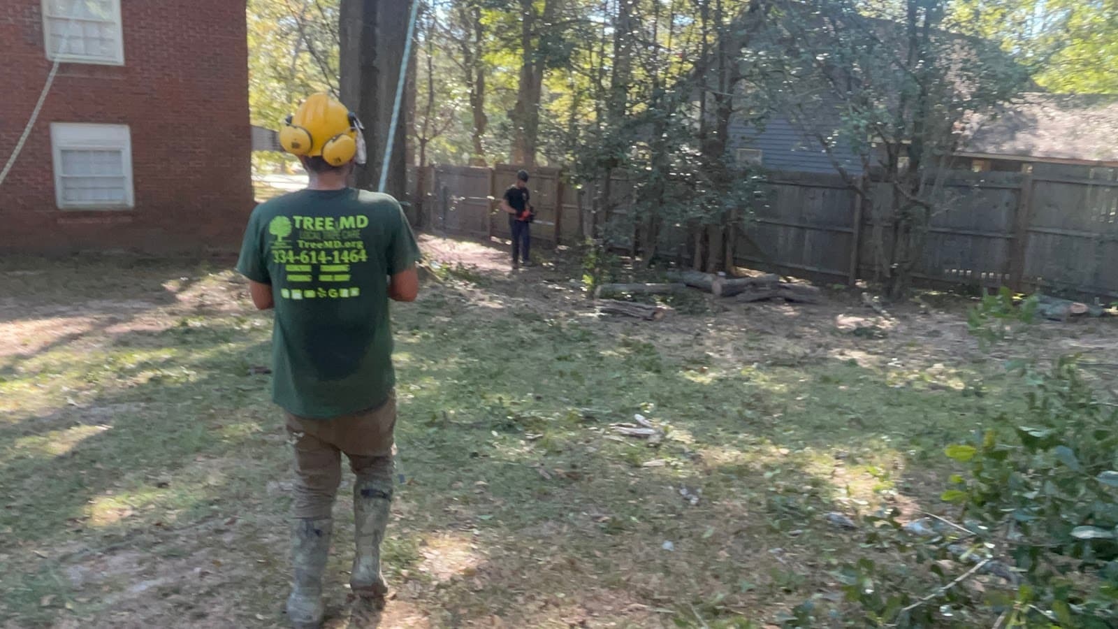 Tree MD Local Tree Care