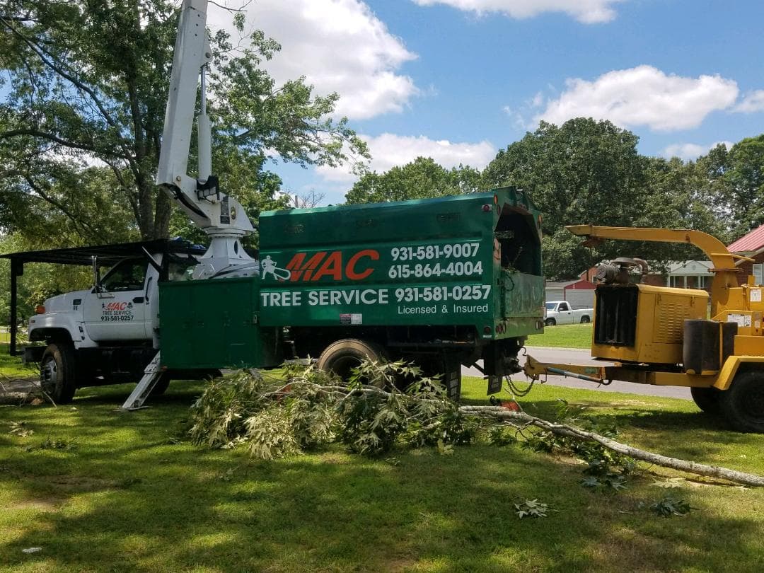 MAC Tree Service