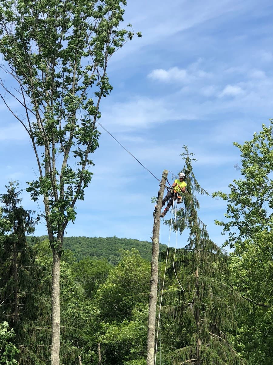 High Performance Tree Service