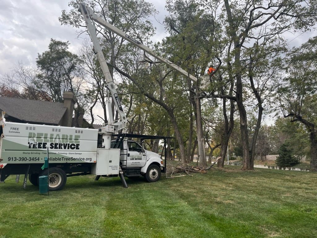 Reliable Tree Service LLC