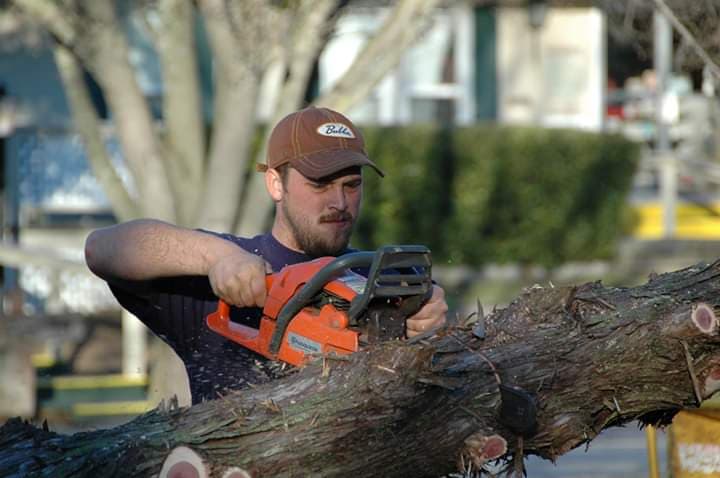 Lowery's Tree Service
