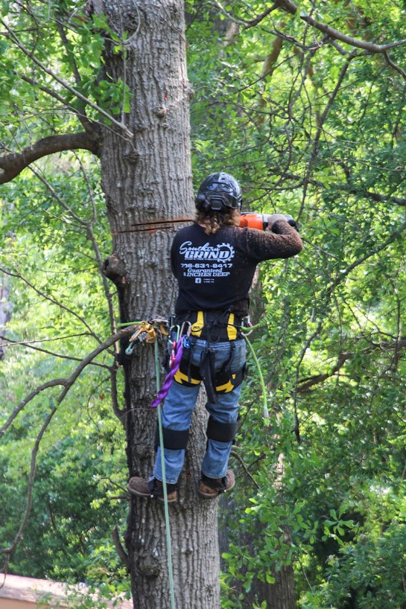 Southern Grind Stump & Tree Removal