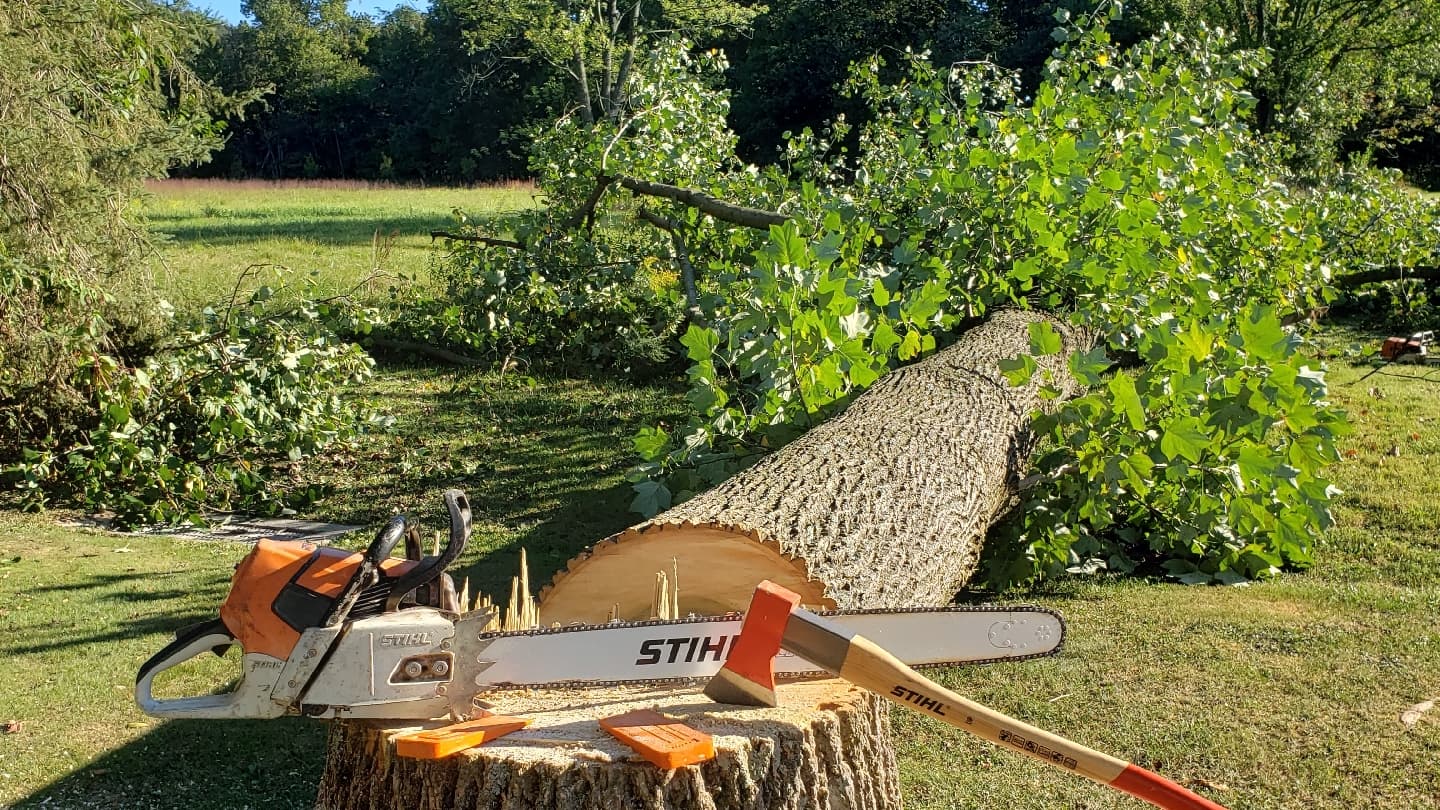 Baker's Tree Services