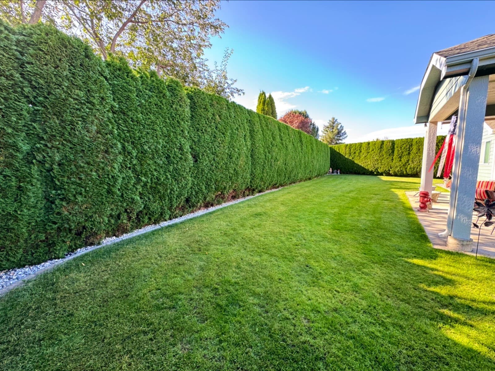 Advanced Arborists Tree Service