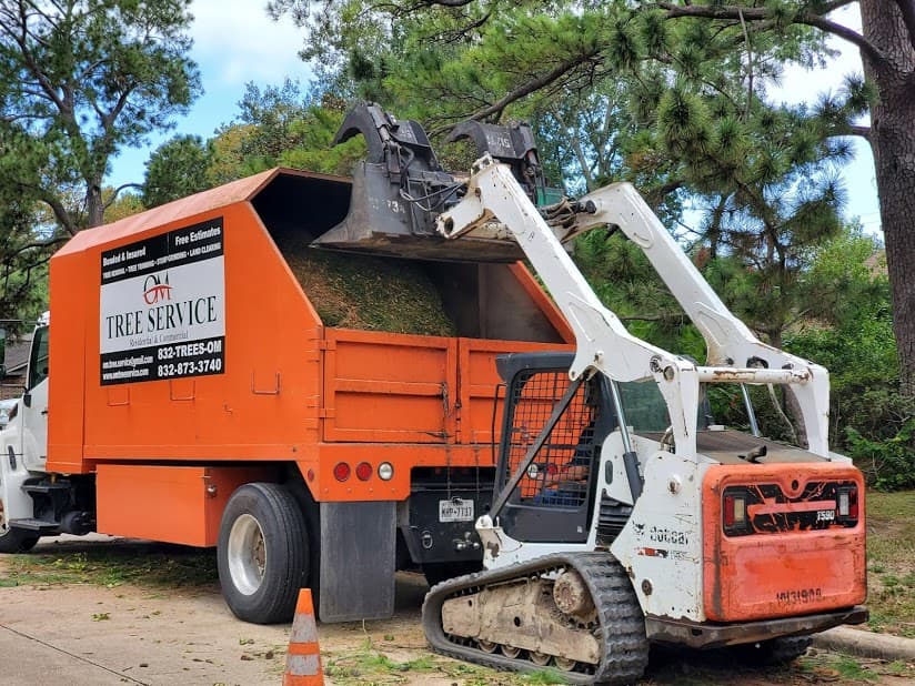 OM Tree Service - Katy