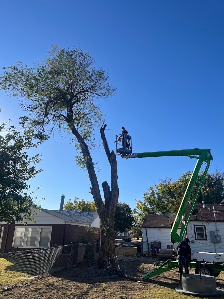 Amarillo Tree Removal