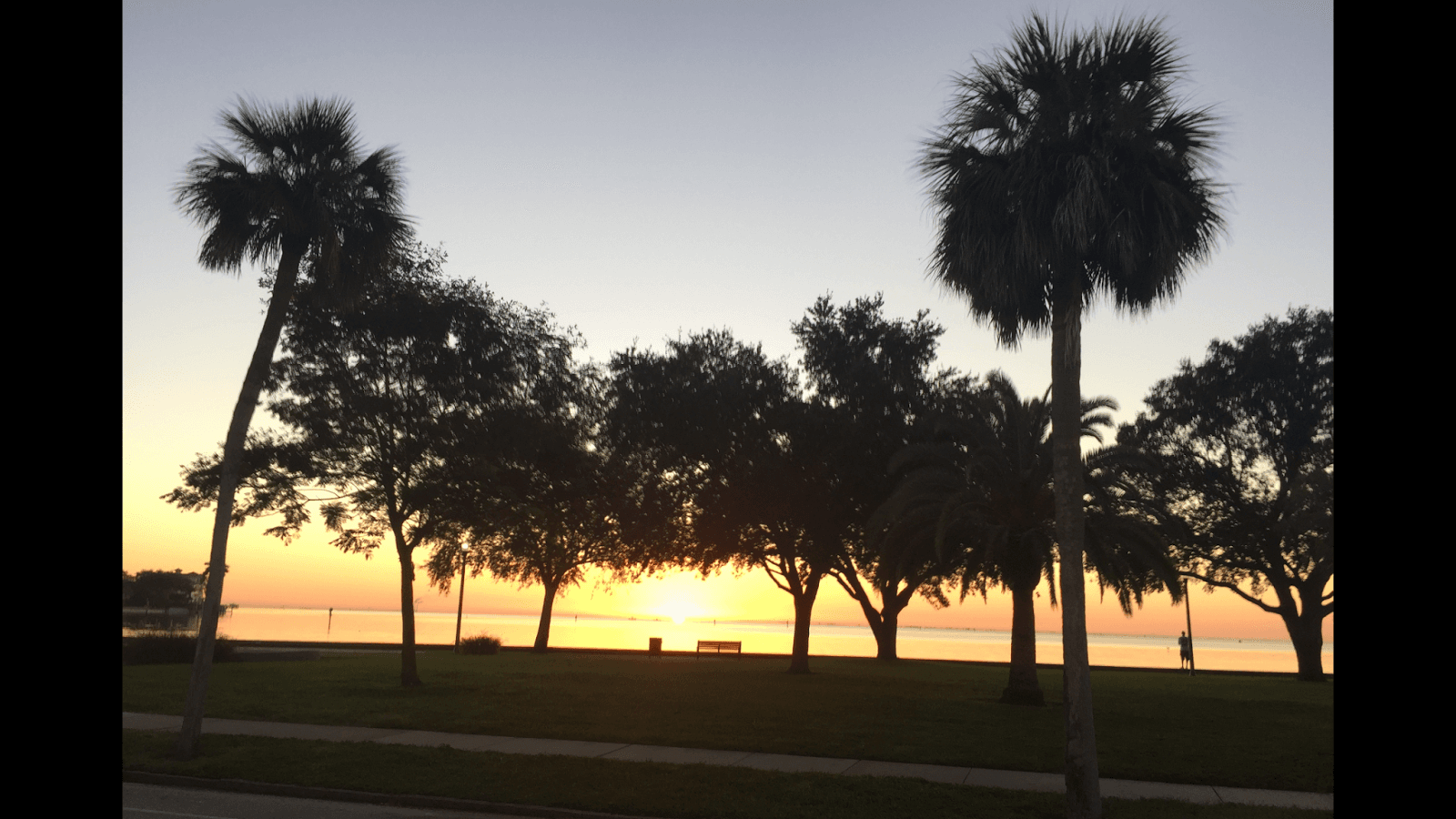 Murray's Tree Service