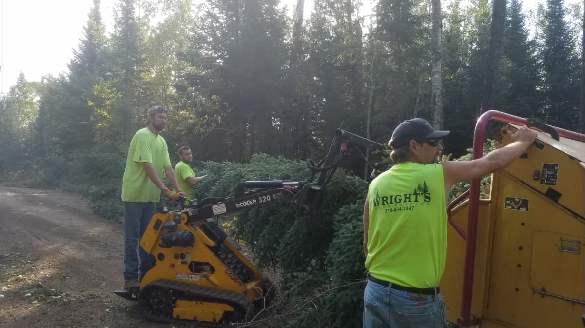 Wright's Tree Service