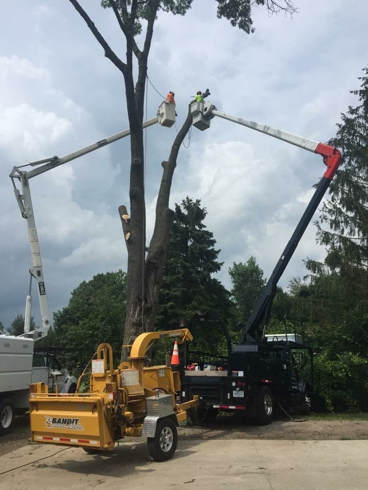 Mosher Tree Service, LLC