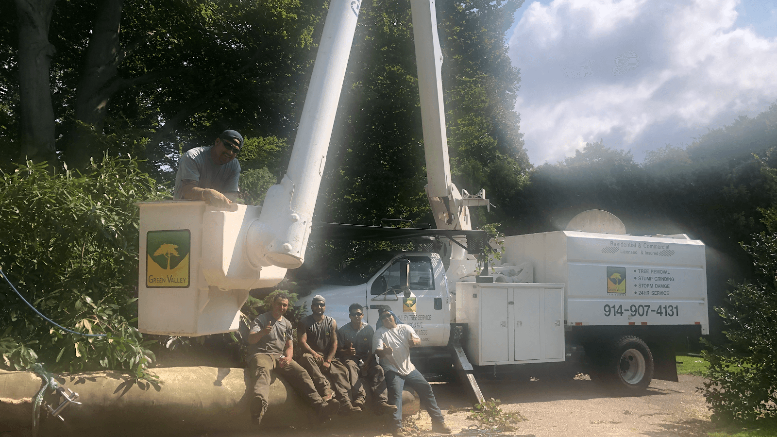 Green Valley Tree Service