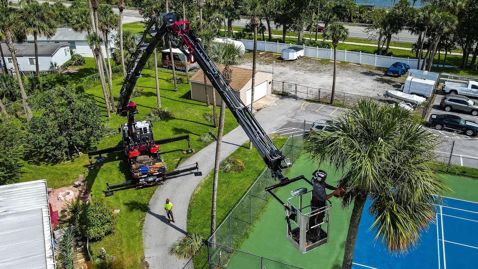 Florida Foliage of Central Florida | Residential and Commercial Tree Services in Daytona Beach, FL