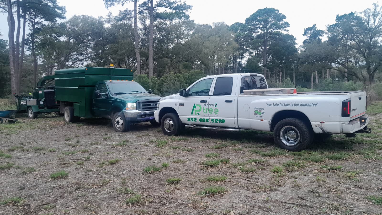 All Points Tree Services