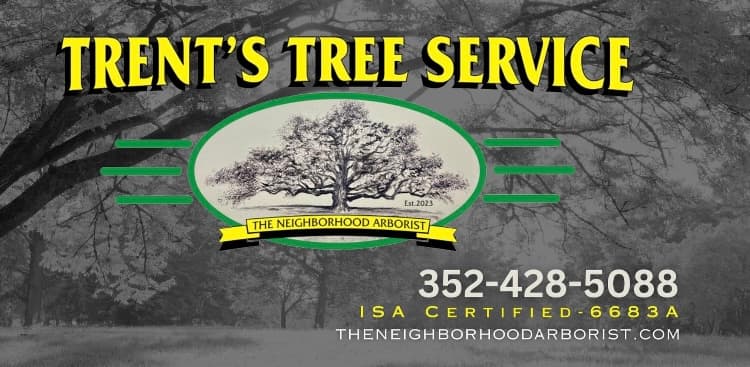 Trent's Tree Service The Neighborhood Arborist LLC