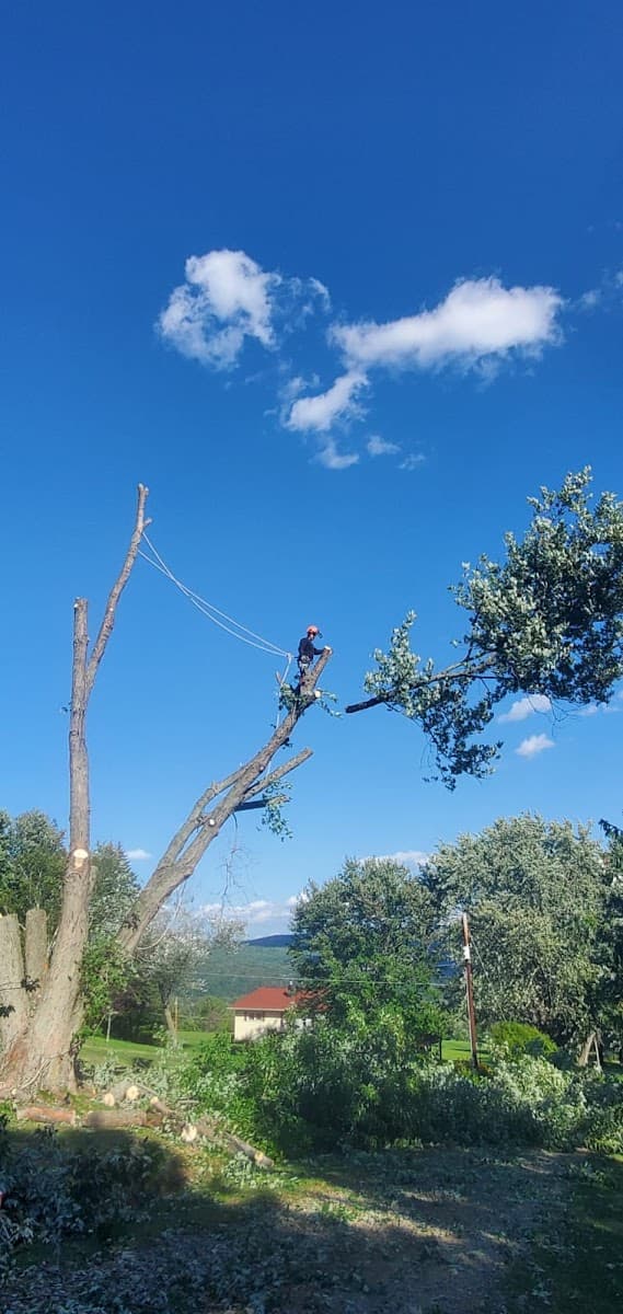 Climbers Tree Care Specialist, Inc.