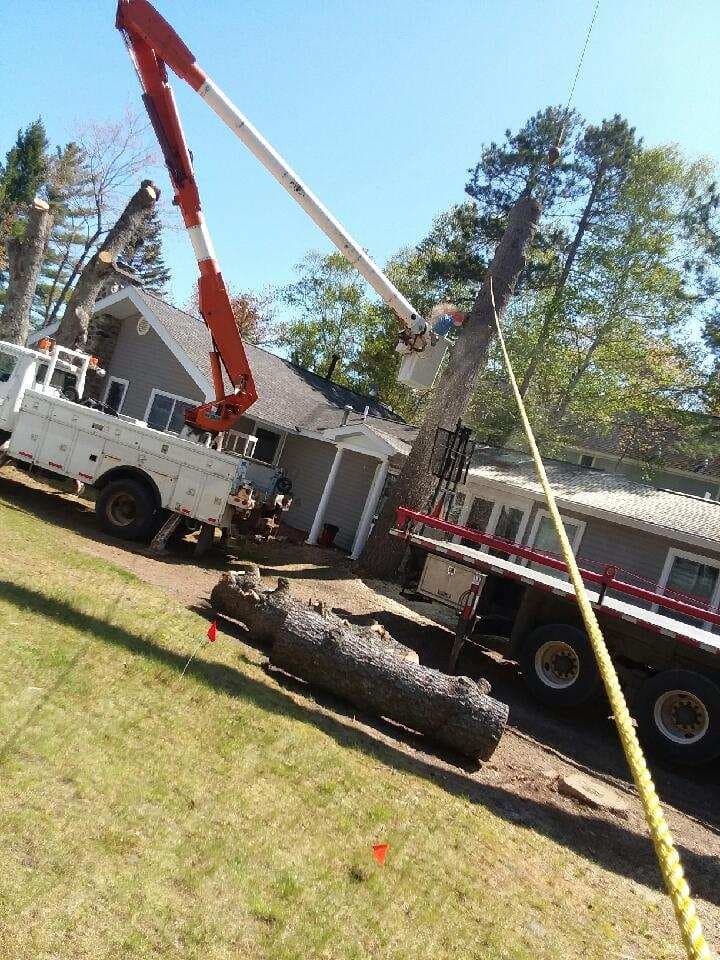 Top Notch Total Tree Service, LLC