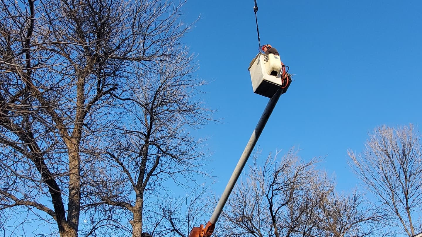 Falls Tree Service