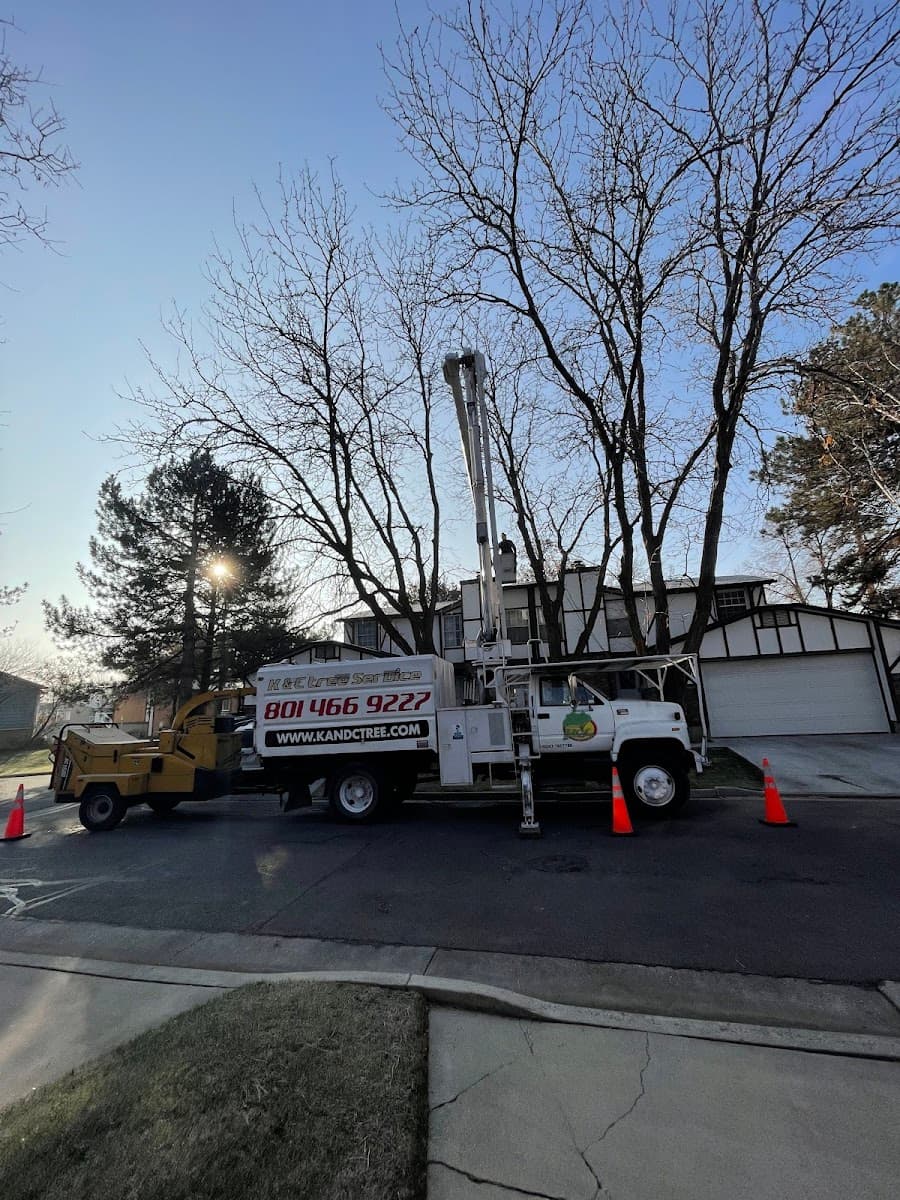 K & C TREE SERVICE EXPERTS