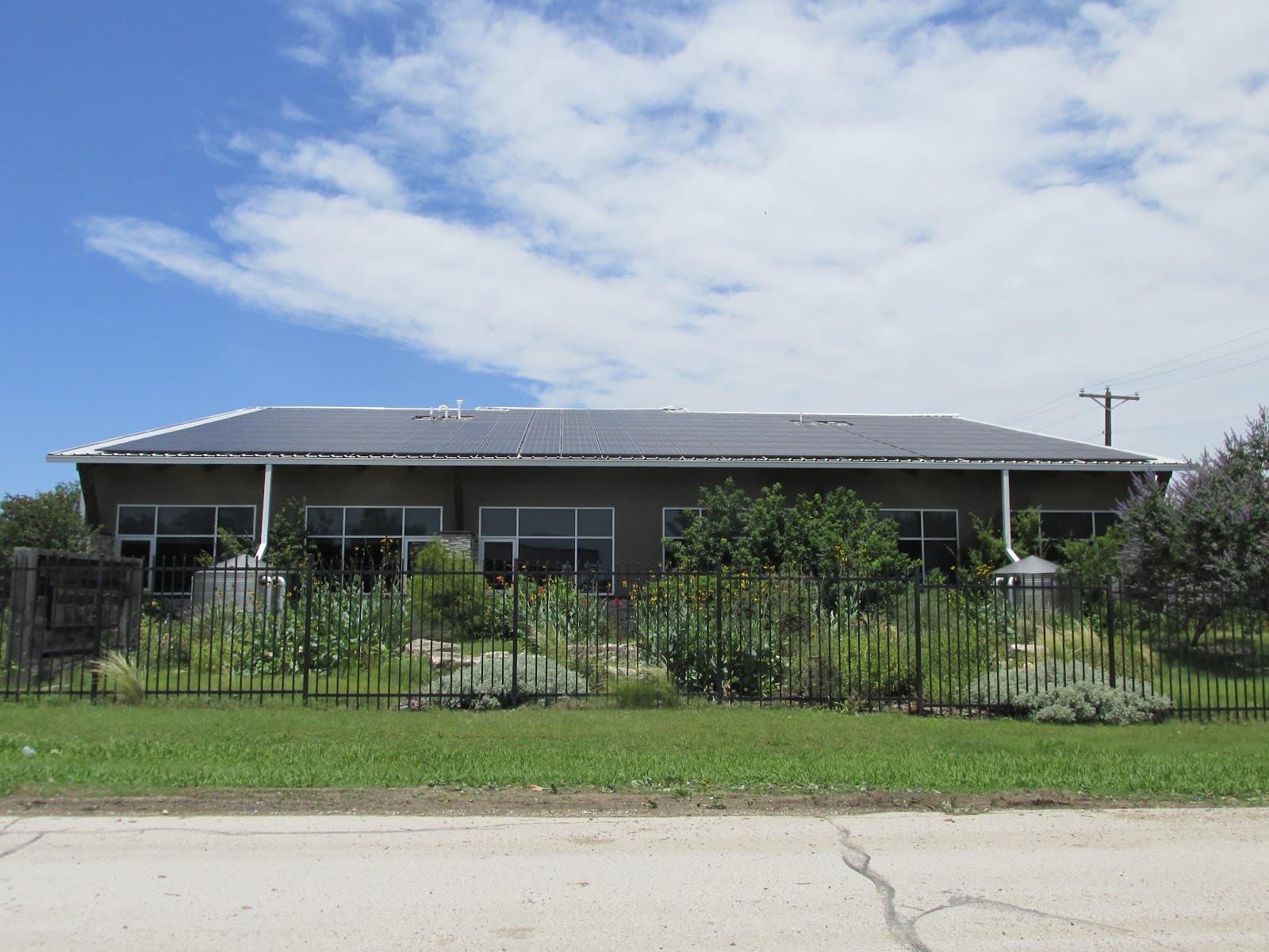 Arborilogical Services