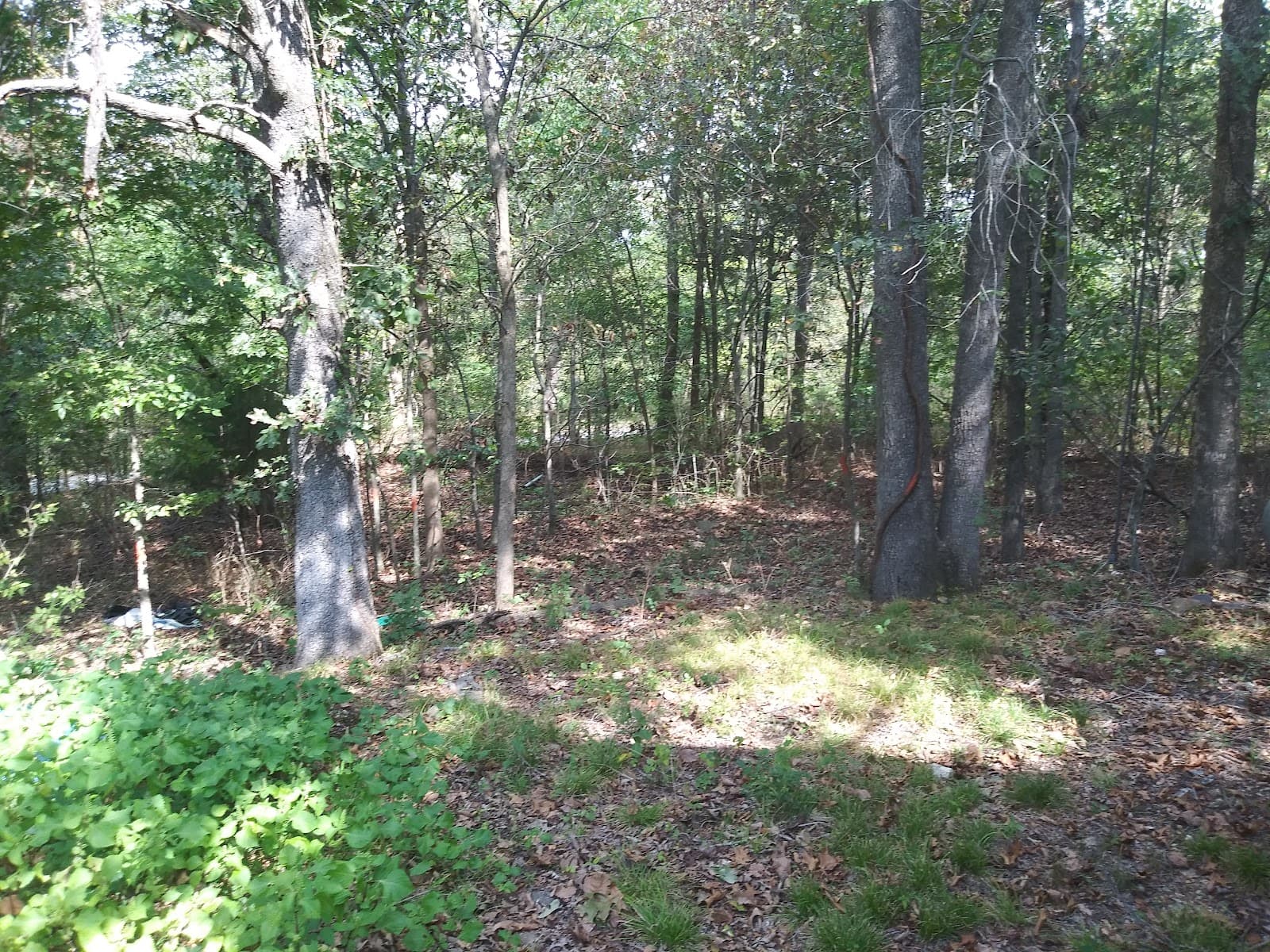 First Call Tree Service LLC