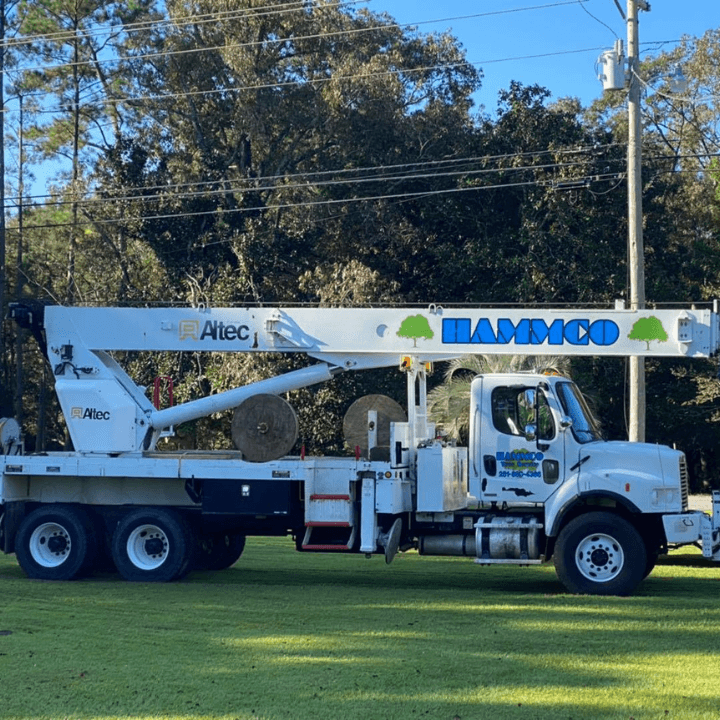 Hammco Tree Service