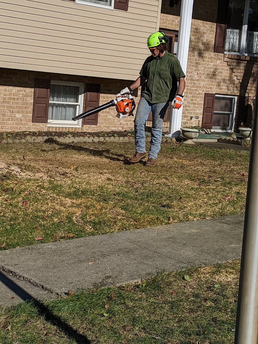 Terry's Tree Service