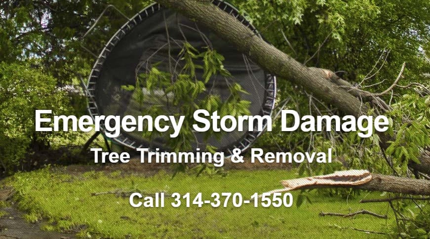 Clipper Tree Service