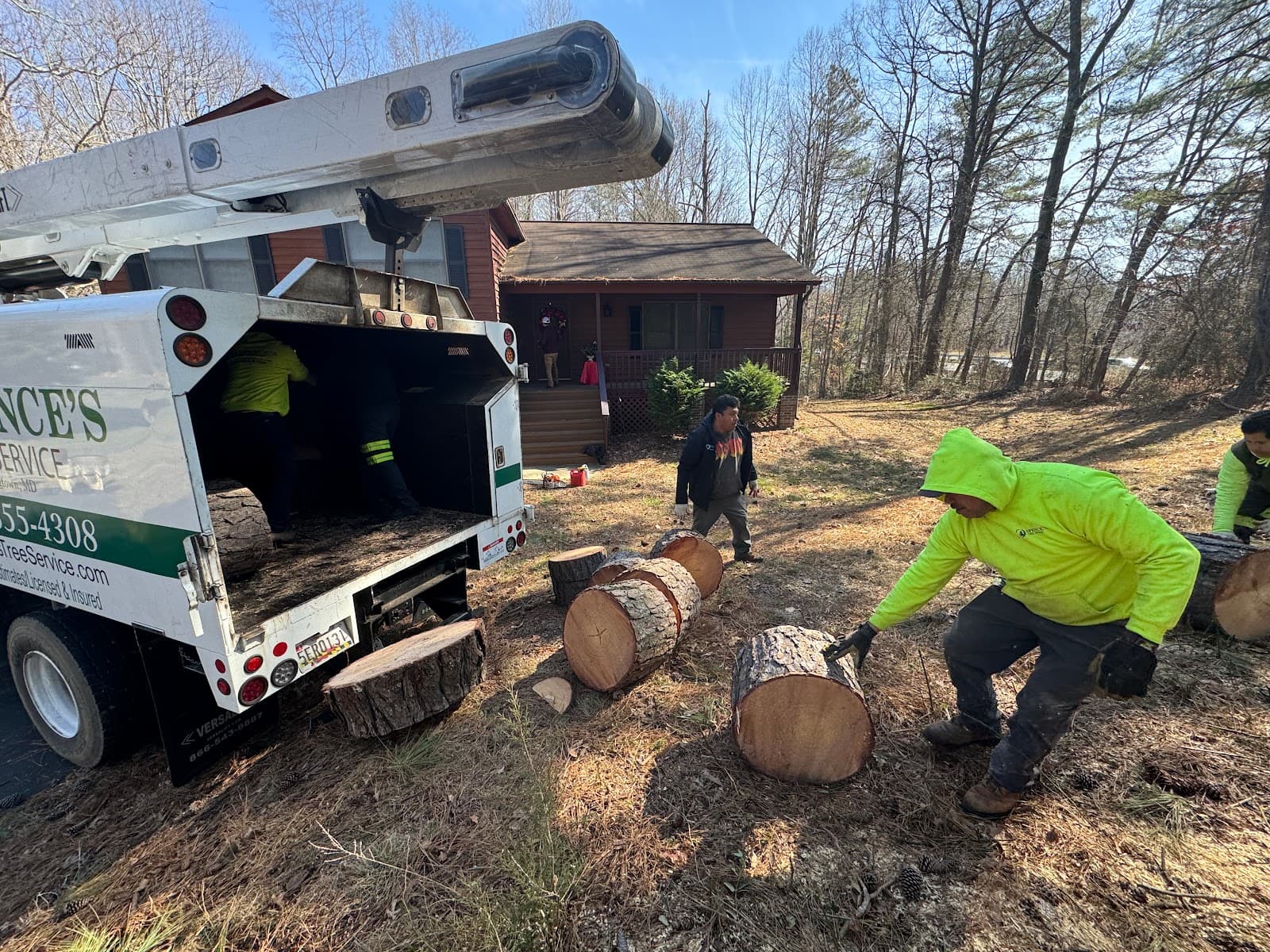 Spence's Tree Service