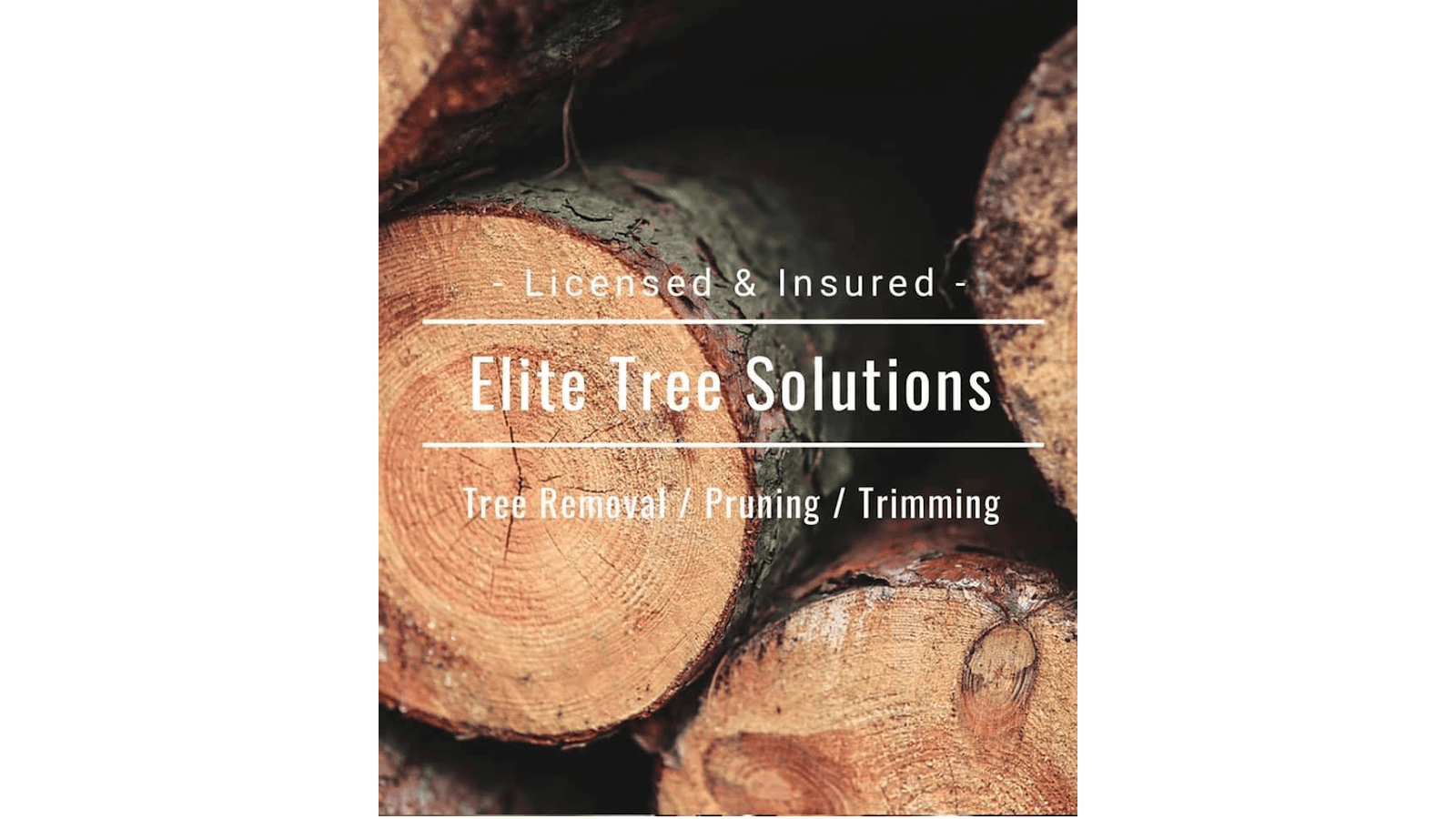 Elite Tree Solutions