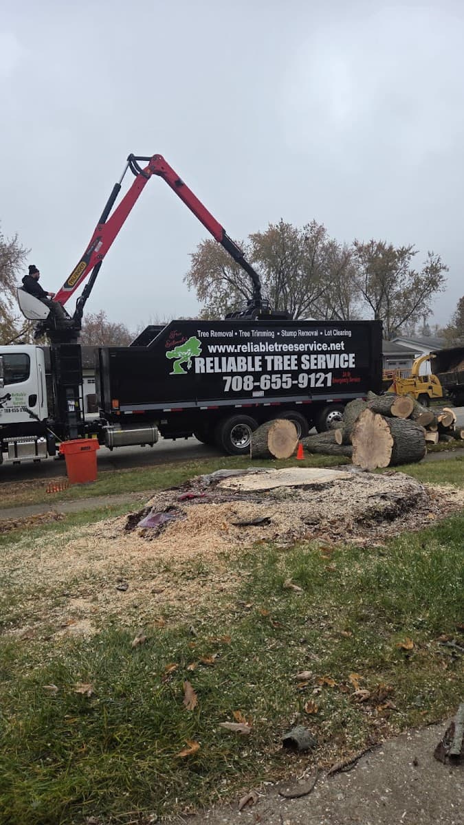 Reliable Tree Service