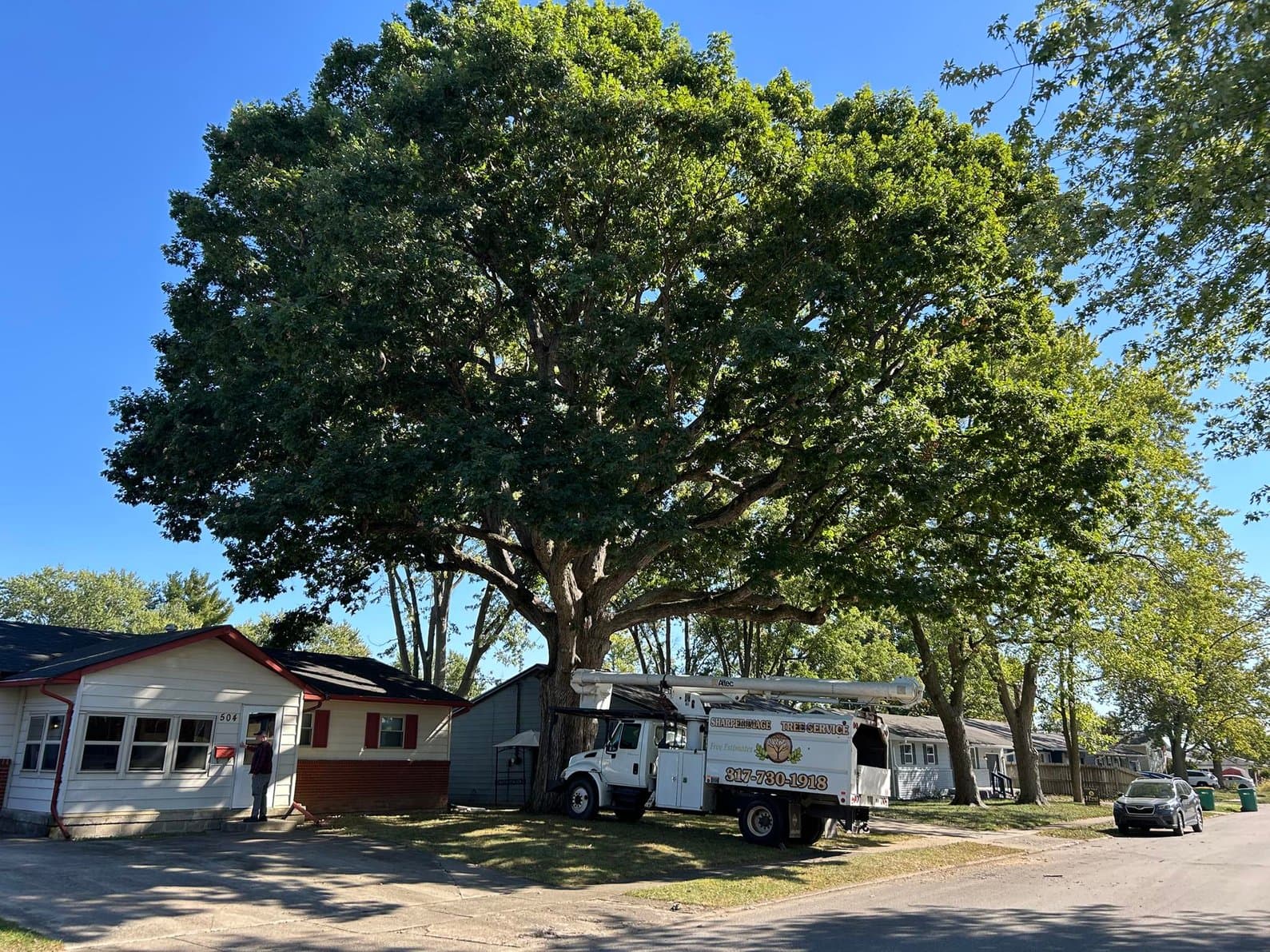 Sharper Image Tree Service LLC