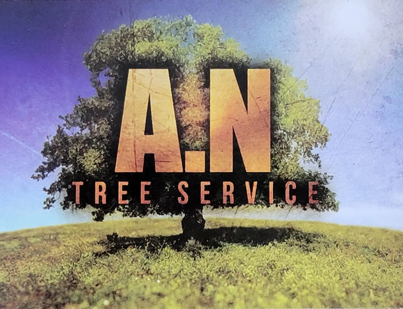 A.N Tree Service