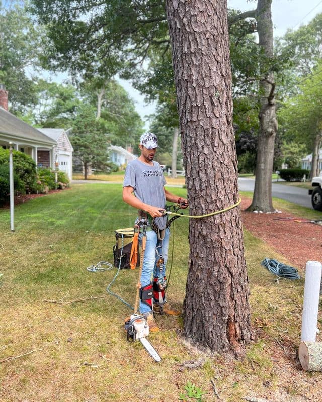 Johnson Tree Services, LLC