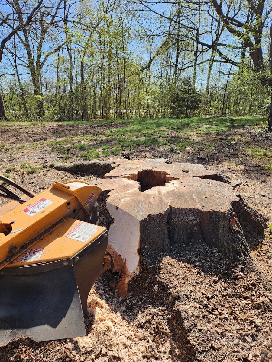 Racine Stump Grinding