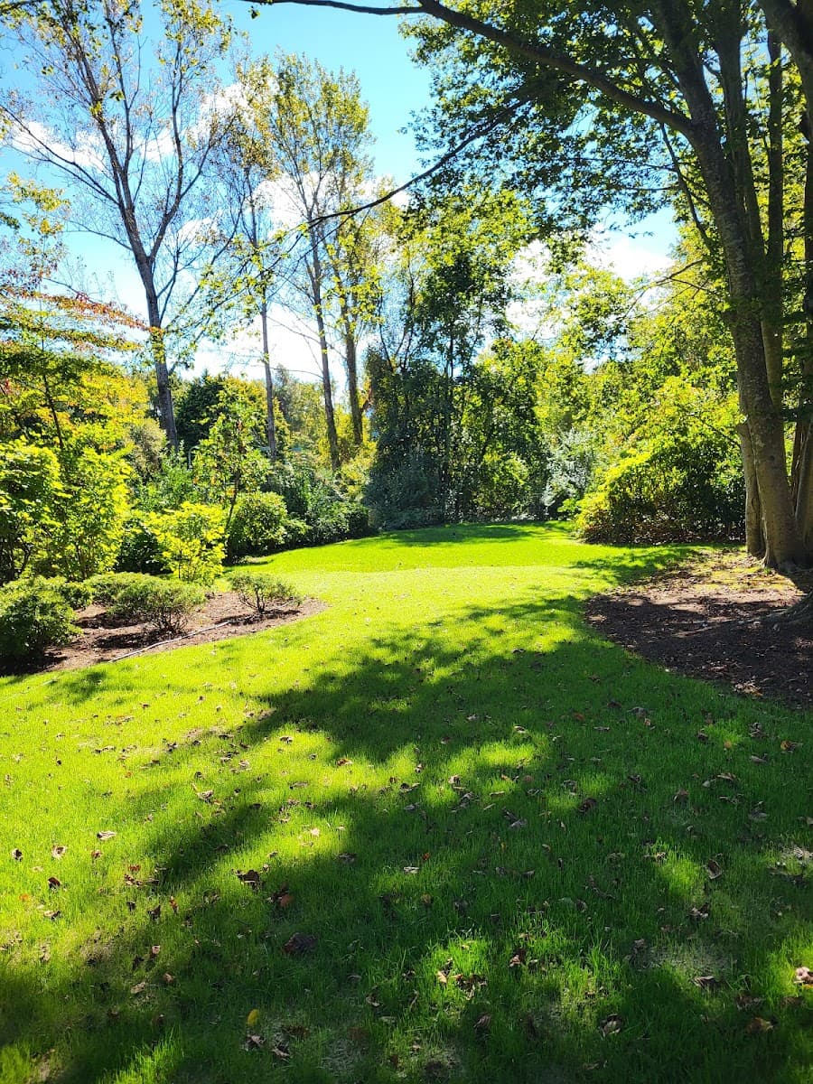 SavATree - Tree Service & Lawn Care