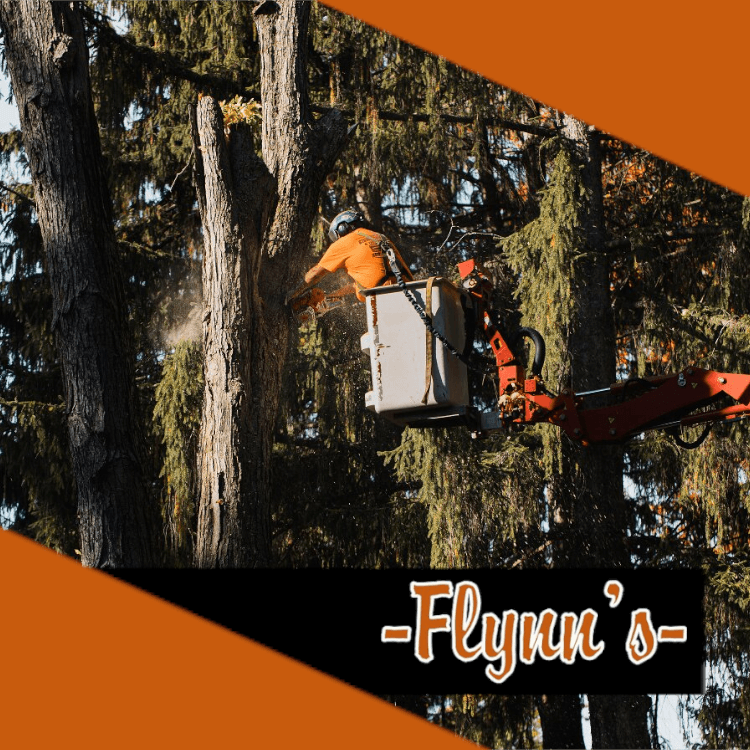 Flynn's Tree Service