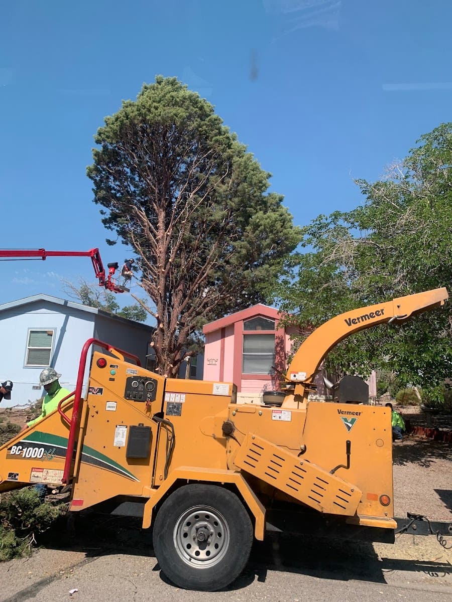 Leo's Tree Service
