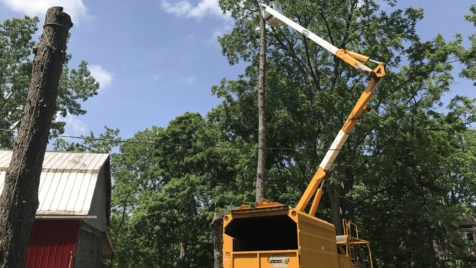 Hirschey's Tree Service