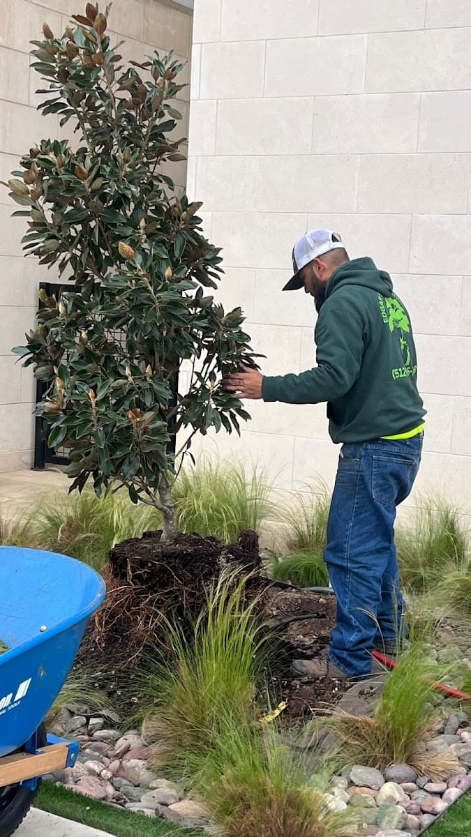 Edgar's Tree Service LLC